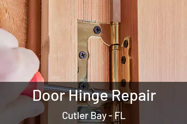  Door Hinge Repair Cutler Bay - FL