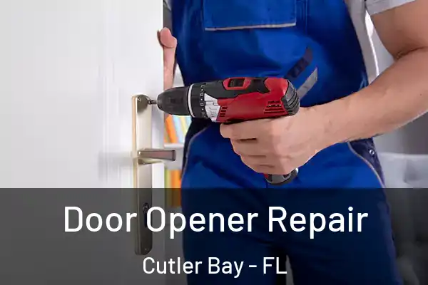 Door Opener Repair Cutler Bay - FL