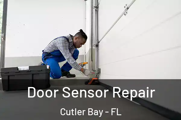 Door Sensor Repair Cutler Bay - FL